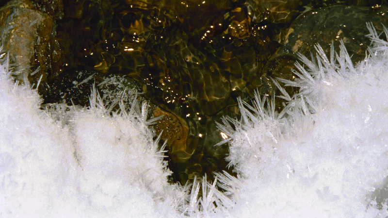 Ice Crystals Along Stream